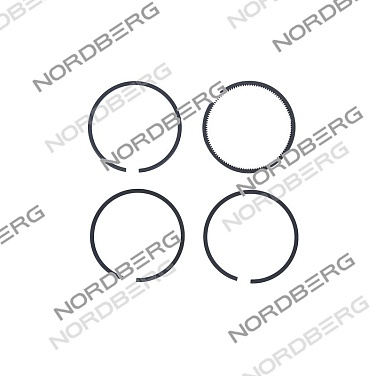 �������� ��������� ����� D55 ��� NCP500/1400, NCP500/1000-16 ����