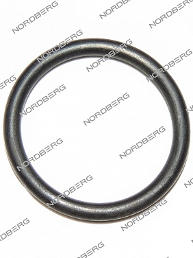 ��������� NORDBERG 5500032 ����