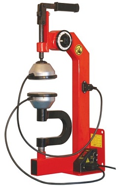 ������������ ������ ����