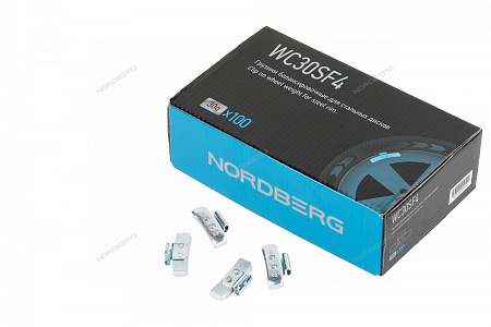 ������� ��������������� ��� �������� ������ Fe 30 �, 100 ��. NORDBERG WC30SF4 ����